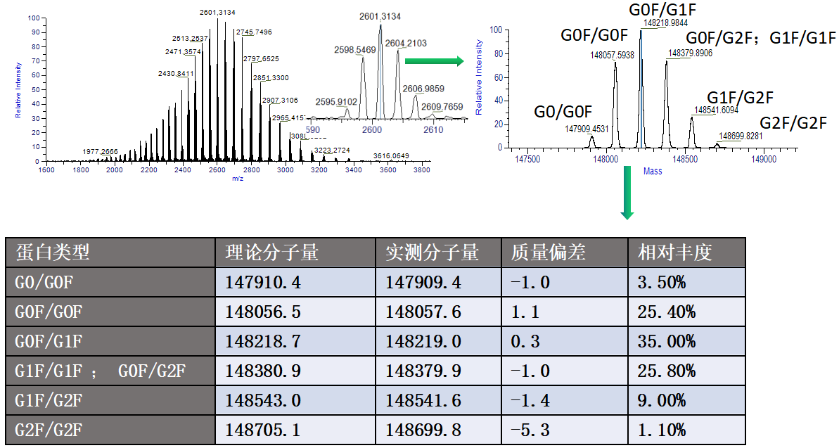 蛋白质完整亚基分子量分析.png 蛋白质完整亚基分子量分析.png